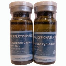 Testoxyl Cypionate 250 For Sale